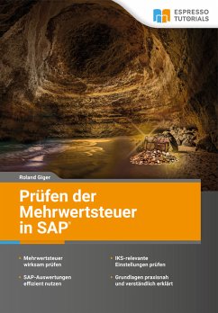 Prüfen der Mehrwertsteuer in SAP (eBook, ePUB) - Giger, Roland