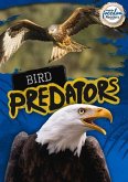 Bird Predators