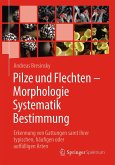 Pilze und Flechten - Morphologie, Systematik, Bestimmung (eBook, PDF)