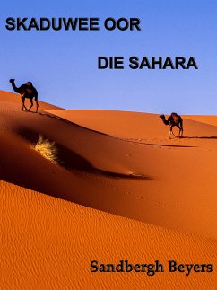 Skaduwee oor die Sahara (eBook, ePUB) - Beyers, Sandbergh