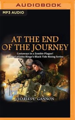 At the End of the Journey - Gannon, Charles E.