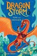 Dragon Storm #1: Tom and Ironskin - Bild 1