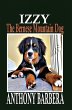 Izzy the Bernese Mountain Dog - Bild 1