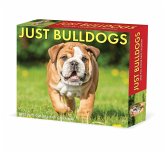Bulldogs 2022 Box Calendar - Dog Breed Daily Desktop