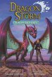 Dragon Storm #1: Tom and Ironskin - Bild 1