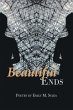 Beautiful Ends - Bild 1