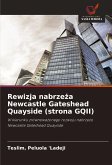 Rewizja nabrze¿a Newcastle Gateshead Quayside (strona GQII)