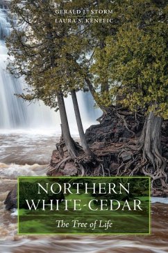 Northern White-Cedar - Storm, Gerald L; Kenefic, Laura S