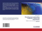 Fluid-Structure Interaction Problems: Theory and Experiments