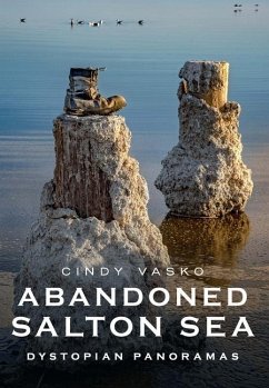 Abandoned Salton Sea: Dystopian Panoramas - Vasko, Cindy