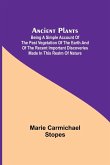 Ancient Plants; Being a Simple Account of the past Vegetation of the Earth and of the Recent Important Discoveries Made in This Realm of Nature