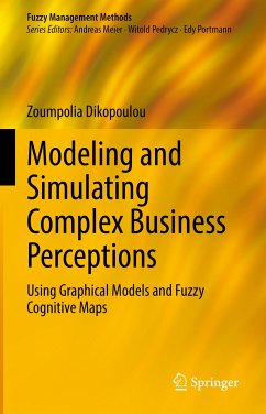 Modeling and Simulating Complex Business Perceptions (eBook, PDF) - Dikopoulou, Zoumpolia