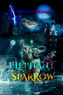 Elephant and Sparrow (eBook, ePUB) - Molaolwa, Molaolwa