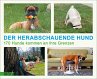 Der herabschauende Hund - Bild 1