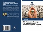 Die Herausforderungen der unabhängigen Stromerzeuger in Nigeria Die Herausforderungen der unabhängigen Stromerzeuger in Nigeria