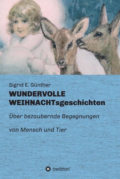 WUNDERVOLLE WEIHNACHTsgeschichten (eBook, ePUB)