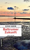 Baltrumer Zukunft (eBook, ePUB)