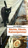 Bächle, Gässle, Katzenjammer (eBook, ePUB)