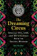The Dreaming Circus (eBook, ePUB) - Bild 1