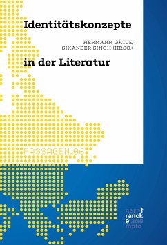 Identitätskonzepte in der Literatur (eBook, ePUB)