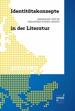 Cover Identitätskonzepte in der Literatur (eBook, PDF)