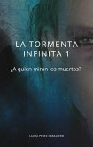 La tormenta infinita (eBook, ePUB)