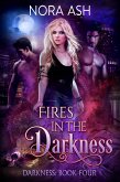 Fires in the Darkness (eBook, ePUB)