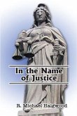 In the Name of Justice (eBook, ePUB)