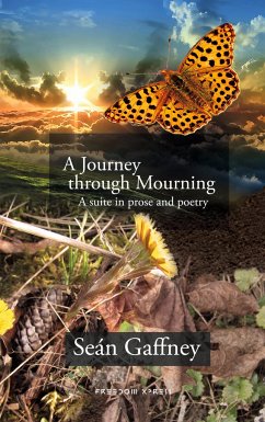 A Journey through Mourning - Gaffney, Seán