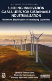 Building Innovation Capabilities for Sustainable Industrialisation (eBook, PDF)