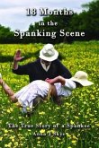 18 Months in the Spanking Scene (eBook, ePUB)