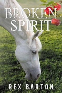 Broken Spirit (eBook, ePUB) - Rex Barton