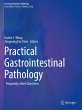 Practical Gastrointestinal Pathology - Bild 1