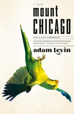 Mount Chicago (eBook, ePUB) - Levin, Adam