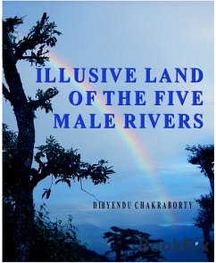 Illusive Land of the Five Male Rivers (eBook, ePUB) - Chakraborty, Dibyendu