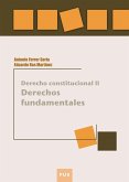 Derecho constitucional II (eBook, PDF)