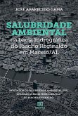 Salubridade ambiental na bacia hidrográfica do Riacho Reginaldo em Maceió/AL (eBook, ePUB)