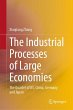 The Industrial Processes of Large... - Bild 1