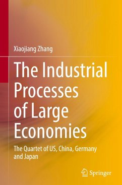 The Industrial Processes of Large Economies - Zhang, Xiaojiang