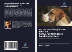 De pathofysiologie van nier- en hartveranderingen bij hondenbabesiose - Lobetti, Remo