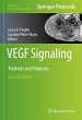 VEGF Signaling - Bild 1