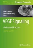 VEGF Signaling