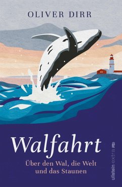 Walfahrt (eBook, ePUB) - Dirr, Oliver