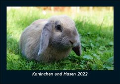 Kaninchen und Hasen 2022 Fotokalender DIN A5 - Tobias Becker