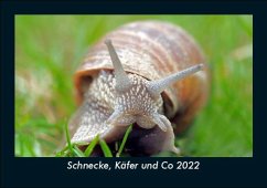 Schnecke, Käfer und Co 2022 Fotokalender DIN A5 - Tobias Becker