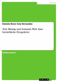 Text Mining und Semantic Web. Eine betriebliche Perspektive - Cely Hernandez, Daniela Rocio