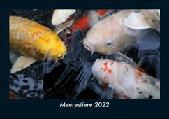 Meerestiere 2022 Fotokalender DIN A5 - Tobias Becker