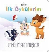 Bambi Karla Tanisiyor - Kolektif