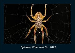 Spinnen, Käfer und Co. 2022 Fotokalender DIN A4 - Tobias Becker