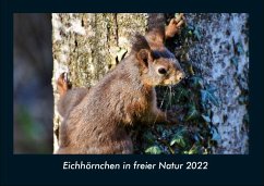 Eichhörnchen in freier Natur 2022 Fotokalender DIN A4 - Tobias Becker